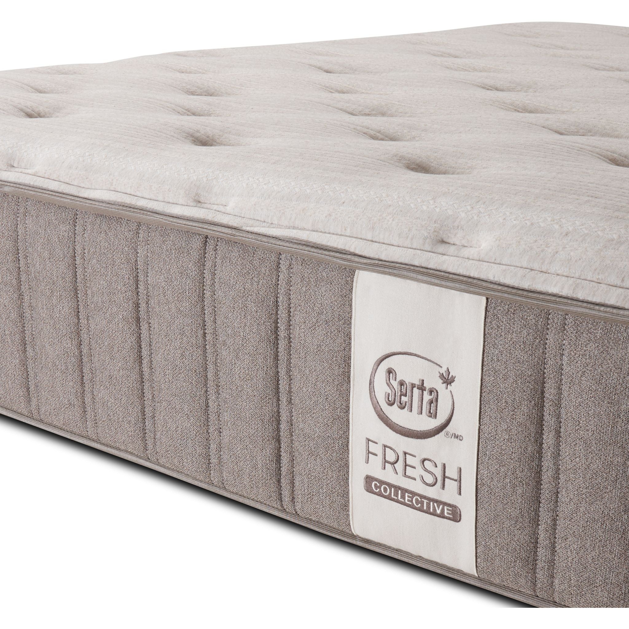 Serta Fresh Collective 13" Rowan Tight Top Firm Mattress